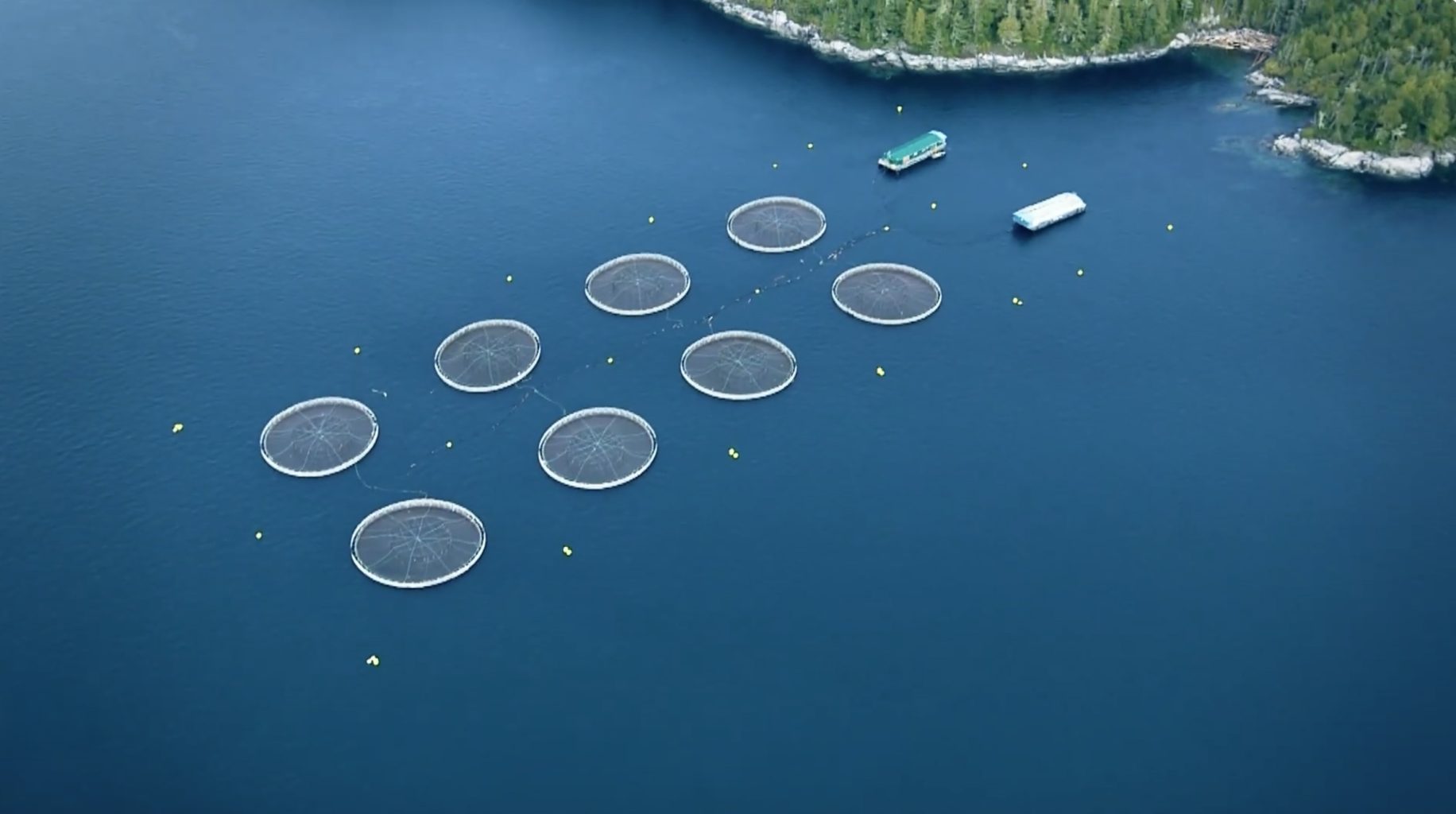 Aquaculture Employment Opportunities